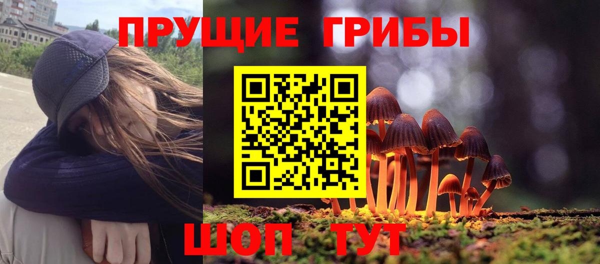 Псилоцибиновые грибы Psilocybine cubensis  Вход с VPN  Москва 